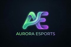 茄子视频合作品牌极光电竞